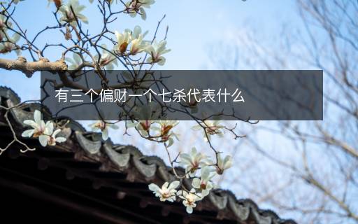 有三個(gè)偏財(cái)一個(gè)七殺代表什么