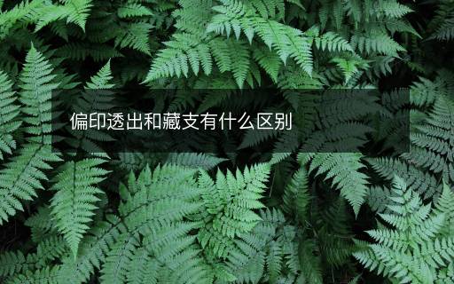偏印透出和藏支有什么區(qū)別