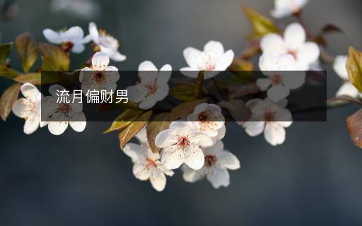 流月偏財(cái)男