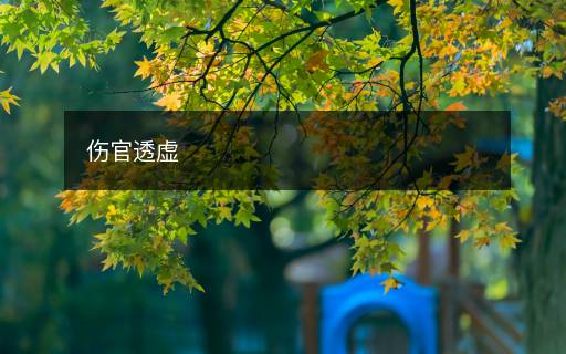 傷官透虛