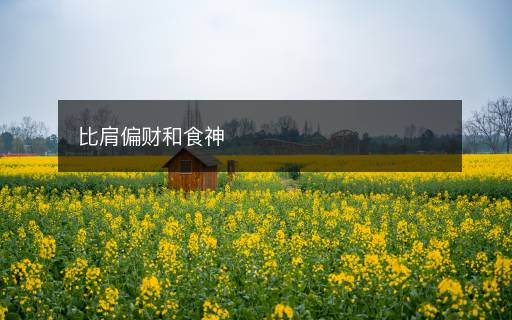 比肩偏財和食神