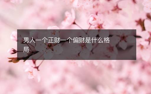 男人一個(gè)正財(cái)一個(gè)偏財(cái)是什么格局