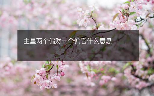 主星兩個(gè)偏財(cái)一個(gè)偏官什么意思