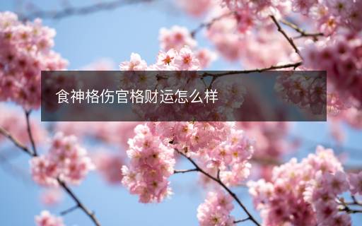 食神格傷官格財(cái)運(yùn)怎么樣