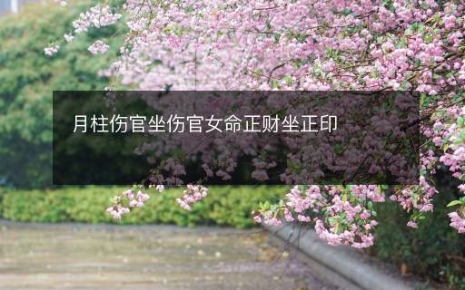 月柱傷官坐傷官女命正財坐正印