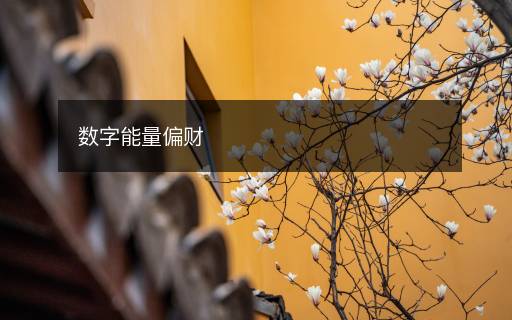 數(shù)字能量偏財