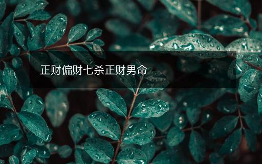 正財(cái)偏財(cái)七殺正財(cái)男命