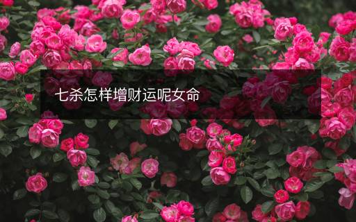 七殺怎樣增財(cái)運(yùn)呢女命