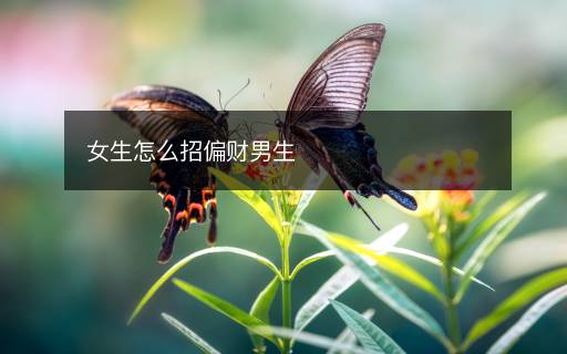 女生怎么招偏財(cái)男生
