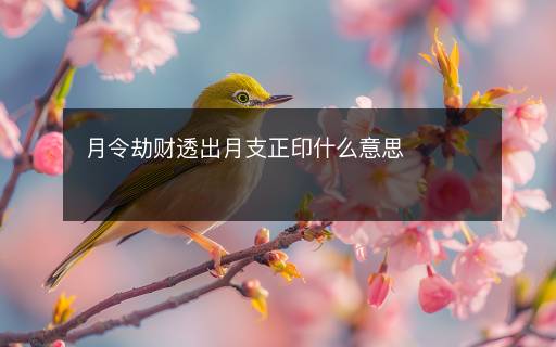 月令劫財透出月支正印什么意思