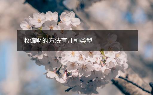 收偏財(cái)?shù)姆椒ㄓ袔追N類型