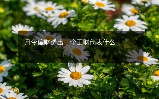 月令偏財透出一個正財代表什么