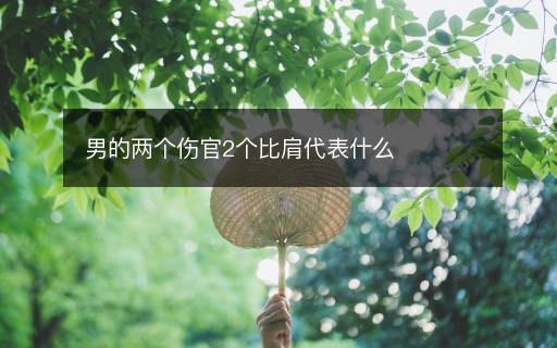 男的兩個傷官2個比肩代表什么