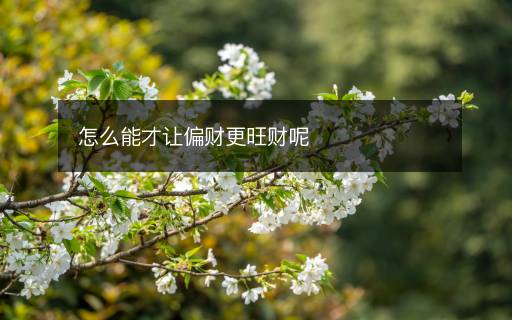 怎么能才讓偏財(cái)更旺財(cái)呢