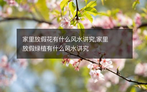 家里放假花有什么風水講究,家里放假綠植有什么風水講究
