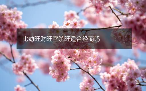 比劫旺財旺官殺旺適合經(jīng)商嗎