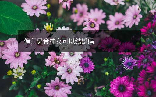 偏印男食神女可以結(jié)婚嗎