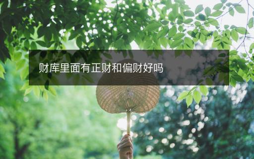 財(cái)庫(kù)里面有正財(cái)和偏財(cái)好嗎