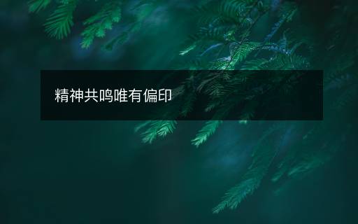 精神共鳴唯有偏印
