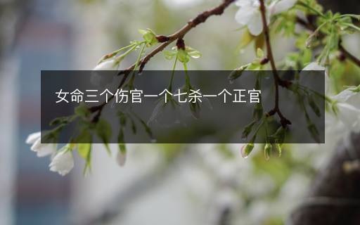 女命三個傷官一個七殺一個正官
