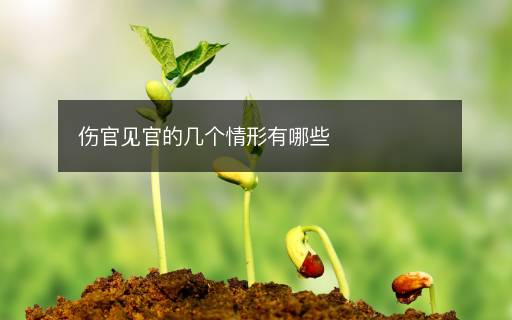 傷官見官的幾個情形有哪些