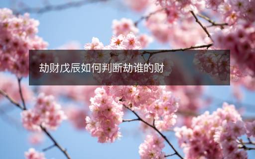 劫財戊辰如何判斷劫誰的財