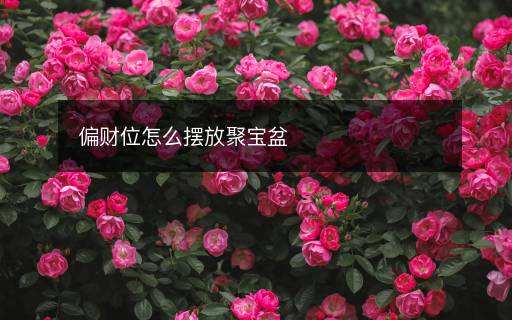 偏財位怎么擺放聚寶盆