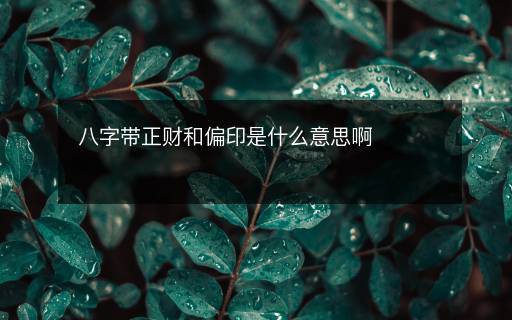 八字帶正財(cái)和偏印是什么意思啊