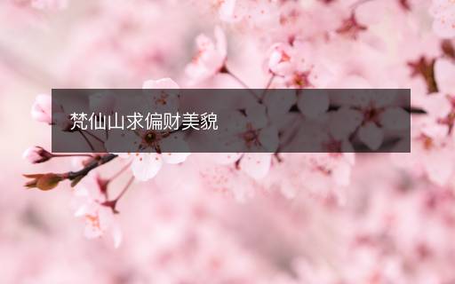 梵仙山求偏財(cái)美貌