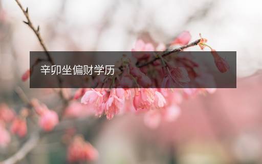 辛卯坐偏財(cái)學(xué)歷