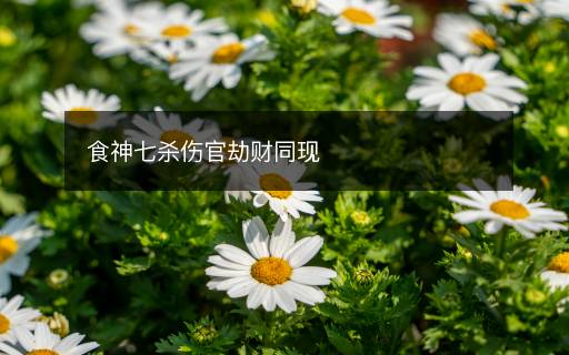 食神七殺傷官劫財(cái)同現(xiàn)