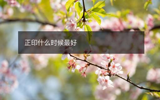 正印什么時(shí)候最好