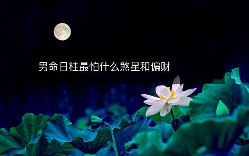 男命日柱最怕什么煞星和偏財(cái)
