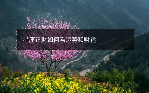 星座正財(cái)如何看運(yùn)勢(shì)和財(cái)運(yùn)