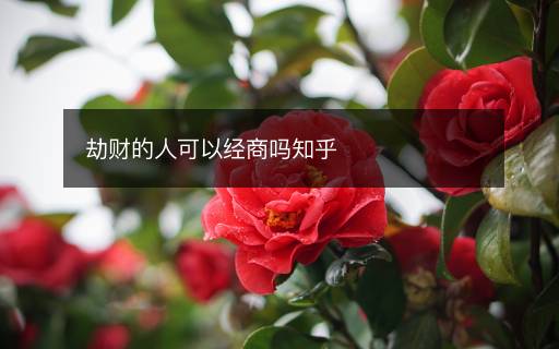 劫財?shù)娜丝梢越?jīng)商嗎知乎