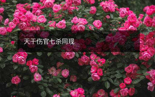 天干傷官七殺同現(xiàn)