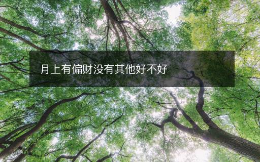 月上有偏財(cái)沒有其他好不好