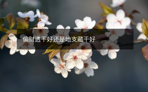 偏財(cái)透干好還是地支藏干好