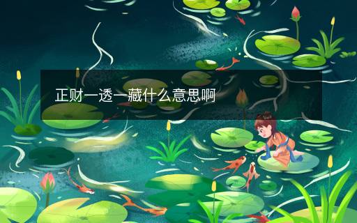 正財一透一藏什么意思啊