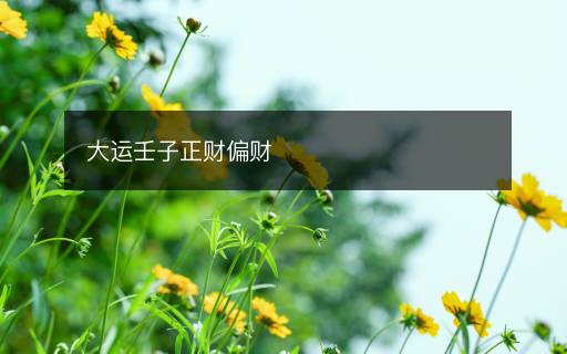 大運(yùn)壬子正財(cái)偏財(cái)
