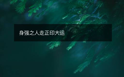 身強之人走正印大運
