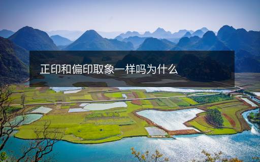 正印和偏印取象一樣嗎為什么