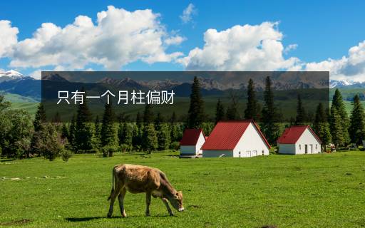 只有一個月柱偏財