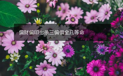 偏財偏印七殺三偏俱全幾等命