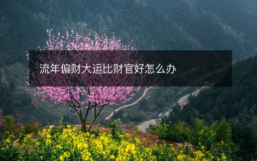 流年偏財大運比財官好怎么辦