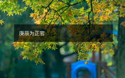 庚辰為正官