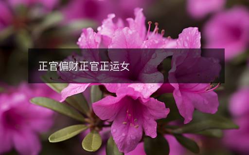 正官偏財正官正運女