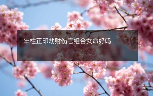 年柱正印劫財傷官組合女命好嗎