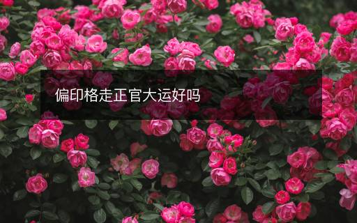 偏印格走正官大運(yùn)好嗎