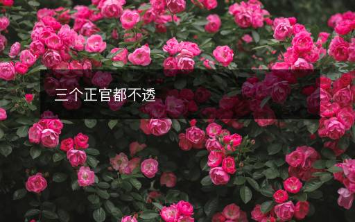 三個(gè)正官都不透